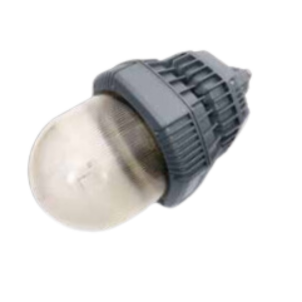 Floodlight Explosion Proof MAM